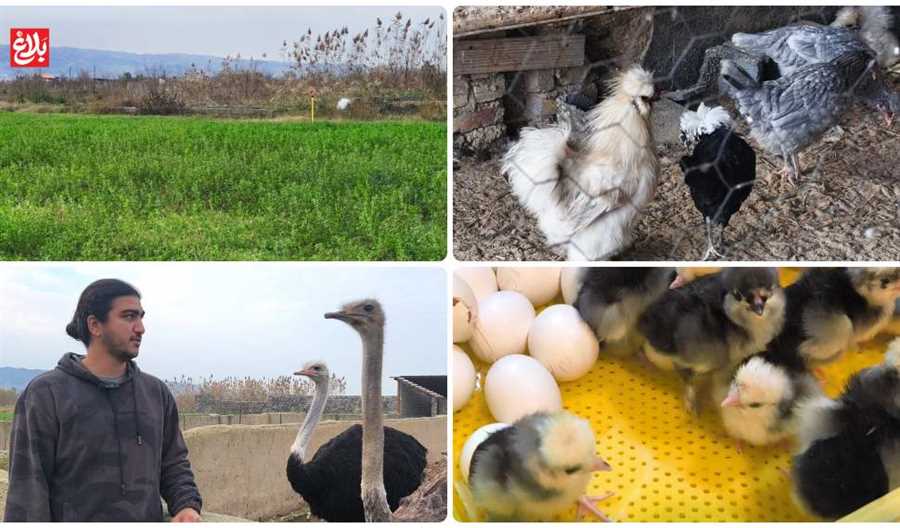 اینجا تولید متوقف نمی‌شود